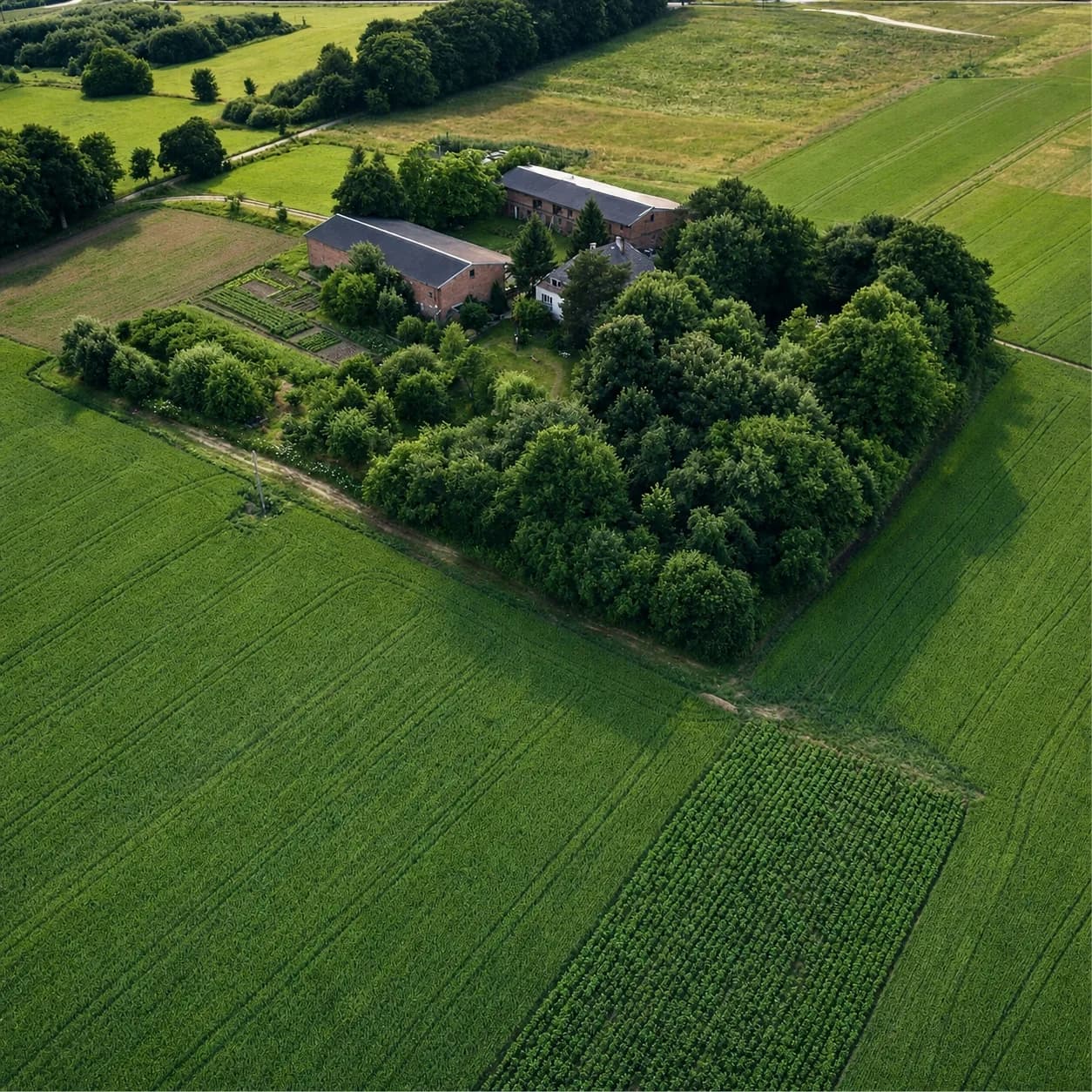 Folwark Glinno — rodzinne gospodarstwo